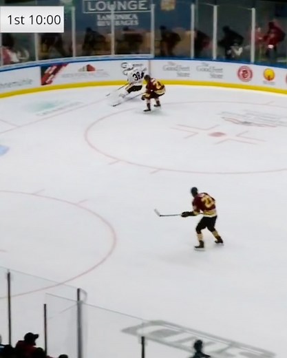 42 reactions | Chicago Wolves on Reels | Facebook