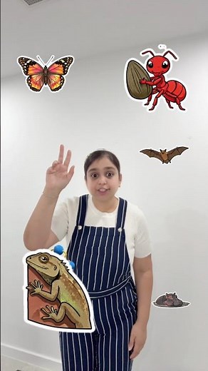 Insect & Animal Sounds Song | Butterfly Ant Lizard Bat Hippo | Kids Learning Rhyme