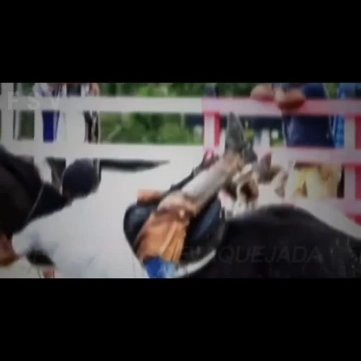 Exciting Rodeo Highlights: Horse Riding Competitions