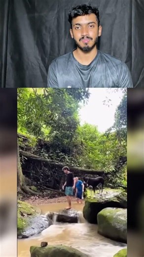 Try not to laugh challenge 1089😂#shorts #funny