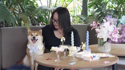 China's pet economy is undergoing a creative overhaul: Dog-only restaurants where pets feast while owners serve, and innovative pet day care centers are redefining pet care. Valued at 300 billion yuan ($42 billion) in 2024, young entrepreneurs are crafting inclusive, boundary-pushing services. #ChinaTravel | China Plus Culture
