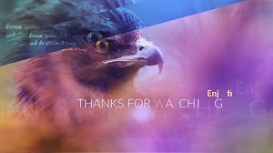 Elegant Glass Slides by Stony Production - After Effects Templates | Motion Array