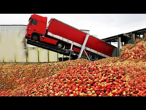 HOW industrial APPLE JUICE is MADE🍎 | How APPLE JUICE is PRODUCED in FACTORIES | Production Process