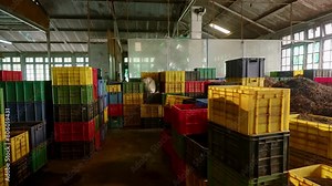 Inside tea factory, colorful containers filled with raw dried tea leaves. Workers sort, process various tea types, with equipment in industrial setting. Bulk tea production, global distribution. Slomo