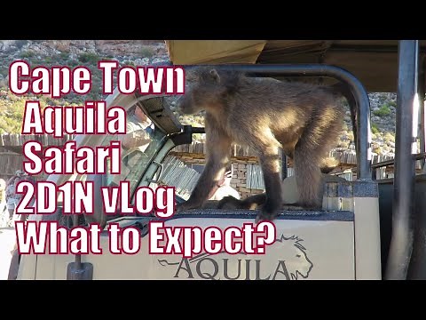 Safari 2D1N experience @ Aquila (Cape Town South Africa) Private Game Reserve and Cottages Room Tour