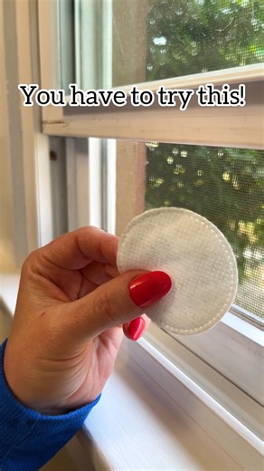 50K views · 345 reactions | DIY Pest Control Tricks You Need to Try! 烈 Simple solutions to get rid of uninvited guests! From fruit flies, to gnats, to mosquitos we've got tips for you! #pestcontrol #mosquito #summer #tipsandtricks #lifehacks | Jeff & Lauren | Facebook