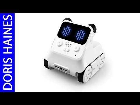 Best Programmable Robots 2026 - Top 5