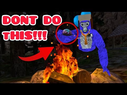 Cool Things you can do With NEW Doug the Bug!!! (Gorilla Tag)
