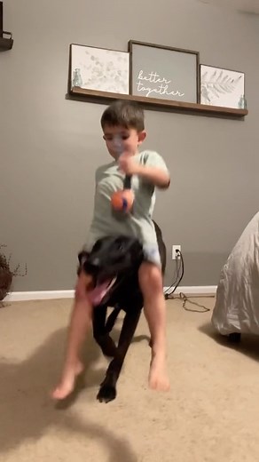 151K views · 3.4K reactions | “If you INSIST!!”  Being a K9 handler...