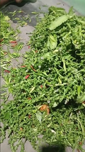 #song #bollywood #nature #love #hindisong #naturesounds #lifeisbutadream #travel #music