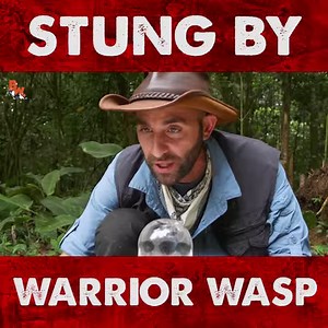 59K views · 525 reactions | This HUGE warrior wasp NABS Coyote! | Coyote Peterson | Facebook