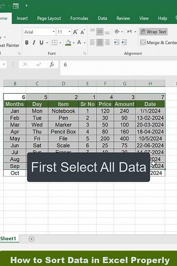 Learn to Sort Data in Excel Fast!