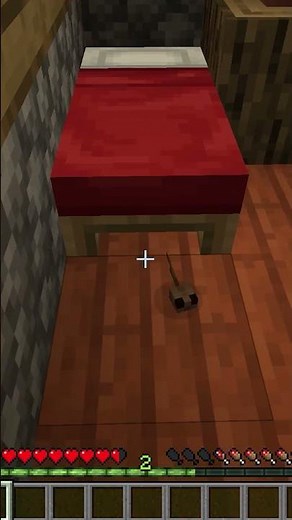 The Dangers of Not Using SOCK in Minecraft