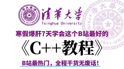 【整整100集】目前B站最全最细，2026年最适合C  小白零基础自学入门教程，全程干货无废话！让你少走99%的弯路！从零小白到C  开发大佬看这套就够了！