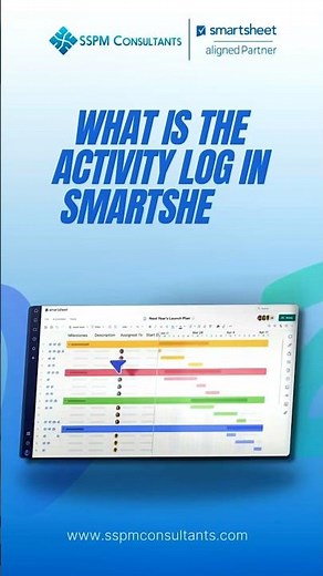 What is the activity log in Smartsheet