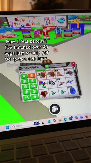 43 to be exact and still have not gotten a sea turtle or a whale #adoptme #endangeredeggs