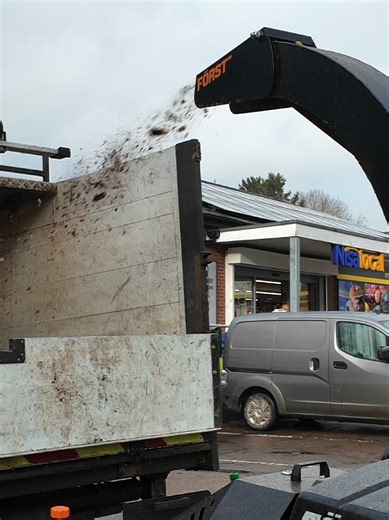 Essential Arborist Tools for Effective Tree Care