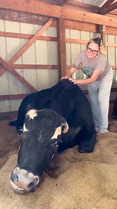 Eddie at #TheGentleBarn Missouri can’t resist a good back scratch! Think we found the right spot? 😂 | The Gentle Barn