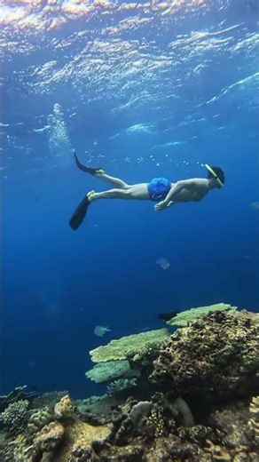 Co budu jednou učit svoje děti. Většinu z nich mám i od svého táty. 🙏 1) Když se mi ztratíš, jd...