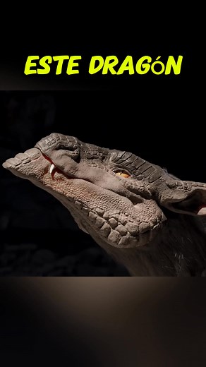 56K views · 2.4K reactions | El Dragón que Transformó su Dolor en Fuerza . #eglenn16#animes#story#history#hystory | Eglenn | Facebook