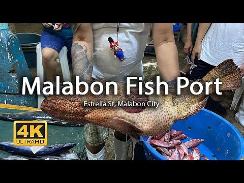 Largest Private-owned Fish Market/Port in Manila | Malabon Private Fish Market