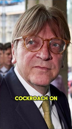 The Political Cookbook: Recipes for Power 🗳️ 📜 #PoliticsFacts #Strategy #Campaigns