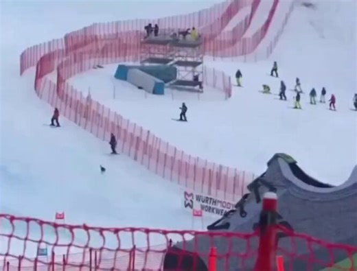 The fact they kept switching camera angles like it’s an actual Olympic event is sending me 😭