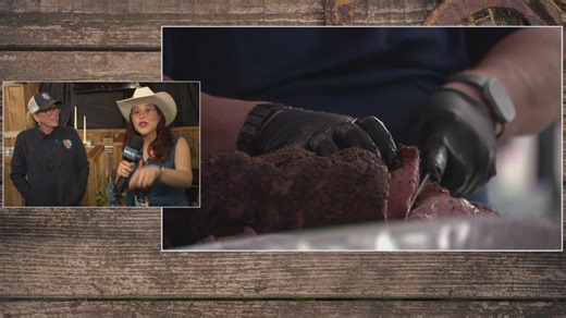 Kicking off the Houston Livestock Show and Rodeo with World Championships Bar-B-Que Contest