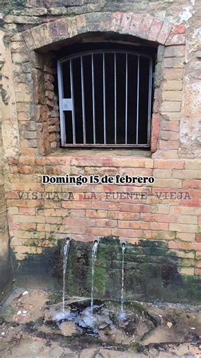 Platalea NaturalezaPatrimonio on Instagram: "¡Planazo histórico a la vista! 🏛️💧 ¿Sabías que bajo nuestros pies corre una historia de más de 2.000 años? No te pierdas la oportunidad de descubrir la Fuente Vieja, el espectacular acueducto romano del siglo I d.C. que aún late en el corazón de Huelva. Gracias a la Cátedra Aguas de Huelva de la @unihuelva, te invitamos a una visita guiada por expertos para conocer esta joya del patrimonio arqueológico. Caminaremos por el trazado que capta el agua d