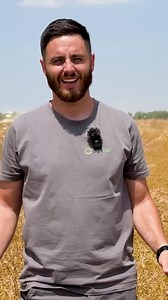 51K views · 402 reactions | Strong flax fibers don’t play nice with rotary combines, and we learned that the hard way. ✅ The straw-walker type (like our Lexion 6800) works much better. With less space for residues to tangle, the harvest runs smoother and results are cleaner.  For more on choosing the right headers and setup for flax, check out our full video on YouTube (link in comments). #harvest #combineharvester #organicfarming #flaxfarming #farmingtips | LoginEKO | Facebook