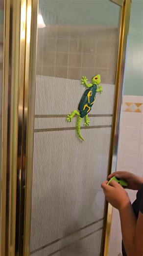 Forget boring toys. This Gecko actually climbs walls, lights up, and reacts like it’s alive. Keeps kids engaged for hours while sparking real imagination. ✨ | GeckoToy