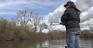 No Delta smelt found for sixth consecutive year