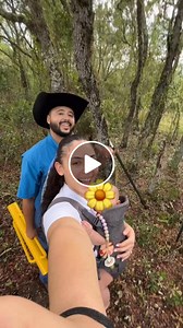 Journey to Homesteading: Our 5-Acre Dream Land