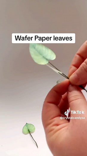 We have a variety of leaves in varies sizes available