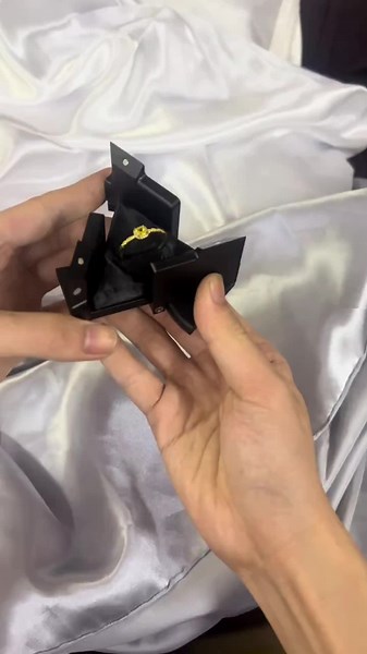 Exploring the Metal Kinetic Ring Box Mechanism