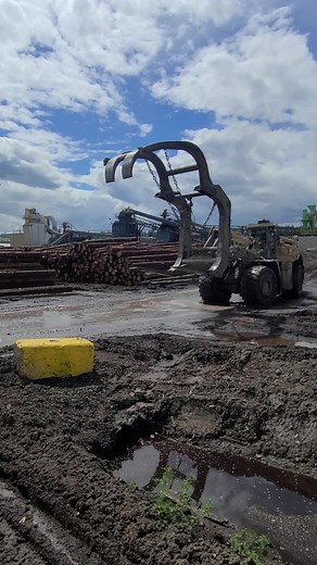 Logging Equipment in Action: Women in Timber