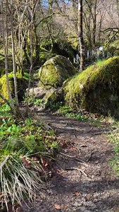 Every step in Scotland = an adventure We've planned, prepped and led 1,000's of 5 ⭐ tours around Scotland. We know what makes a GREAT holiday here. Check out our itinerary booklet & grab some off your first tour as well: https://www.scotlandswild.com/itinerary-booklet #Scotland #Visitscotland #Scotlandswild #Scotlandtrip #DiscoverScotland #Scotlandtours #Scotlandtour #Travel | Scotland's Wild