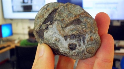 Strange mammal ancestor laid huge leathery eggs, key to surviving the world's worst mass extinction