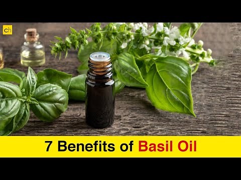 7 Amazing Benefits of Basil Oil that You Need to Know!! - Credihealth