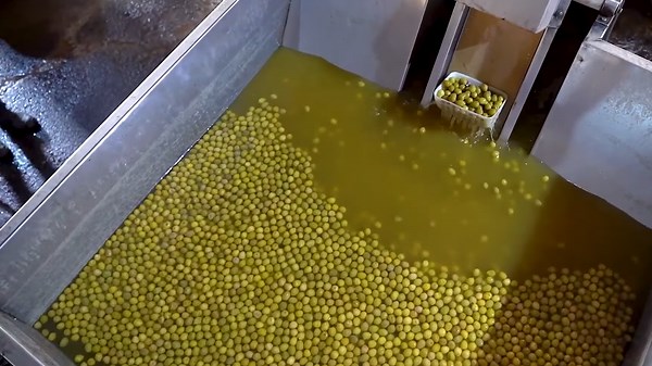 Advanced Tools and Methods Changing How Vegetables Are Farmed