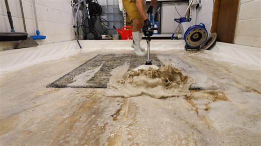 Magic in minutes: rug restoration bliss ASMR