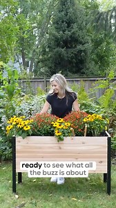Upgrade Your Garden for Your Best Growing Yet! ⭐️ Thousands of Happy Gardeners! 🪵 Real Western Red Cedar 🌱 Chemical Free and Sustainable 🔧 Easy to Assemble (ALL tools provided) 🌷 Promotes Healthier Plants 📏 Available in Multiple Sizes Garden Savings Await! | Cedar Planters