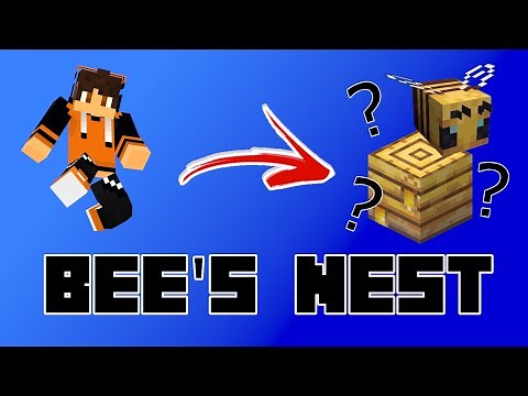 What's inside a Bee's Nest in Minecraft?!? The Bumblezone Mod Showcase