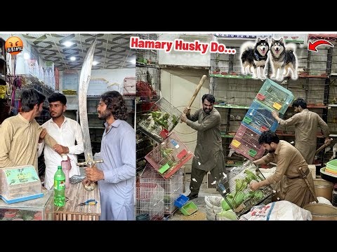Pets Market Main Tahseen Ki Shop Py Dhawa Bol Diya🤬