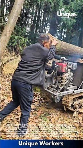 Log Loading with Mini Tracked Vehicle: Efficient Forestry Work