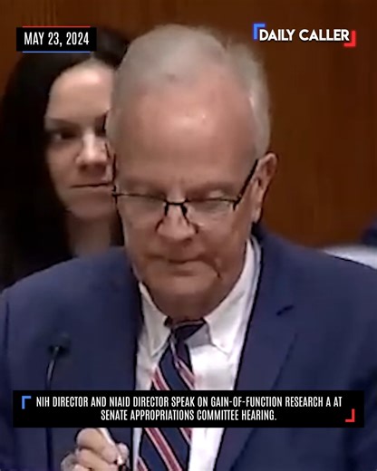 6.6K views · 153 reactions | John Kennedy Asks Health Officials to Explain the "Gain-of-Function" Controversy | The Daily Caller | Facebook