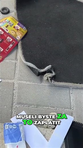 Parkování zdarma! Tipy a triky pro chytré řidiče! #shorts