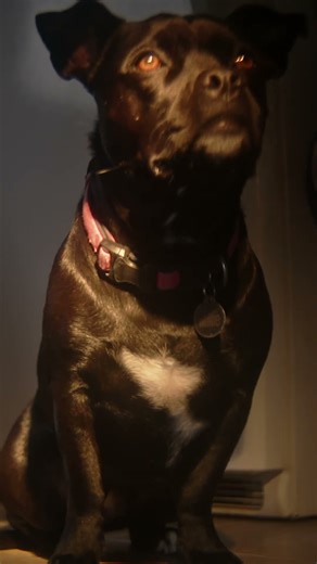 How do you know she's a girl...?