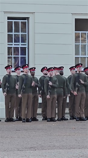 Soldiers Mastering riffle drills