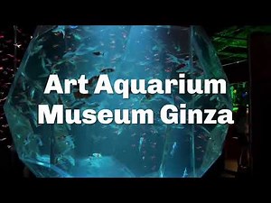Art Aquarium Museum Ginza: Go Inside Tokyo's Vibrant Living Exhibition - LIVE JAPAN